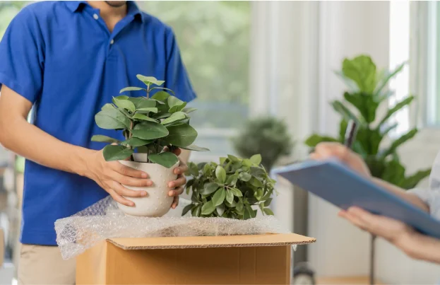 vente de fleurs à Cormeilles-en-Parisis dans le Val-d’Oise 95